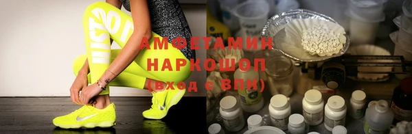 гашик Няндома