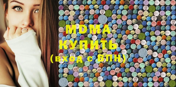 гашик Няндома
