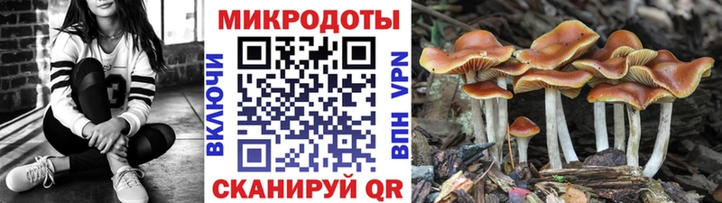 мега ONION  Павловский Посад  Галлюциногенные грибы Psilocybe 