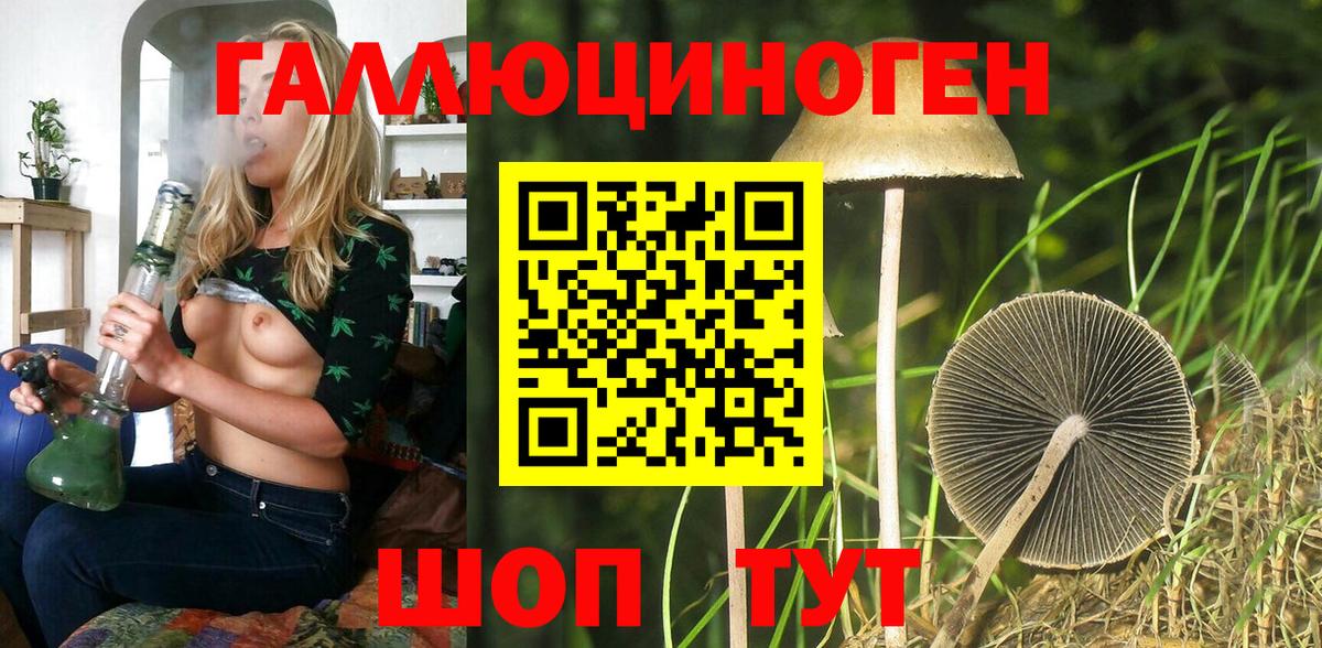 Псилоцибиновые грибы Psilocybe  Вход с VPN  цены   Павловский Посад 