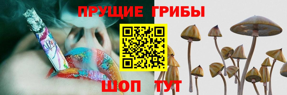 Псилоцибиновые грибы MAGIC MUSHROOMS Павловский Посад